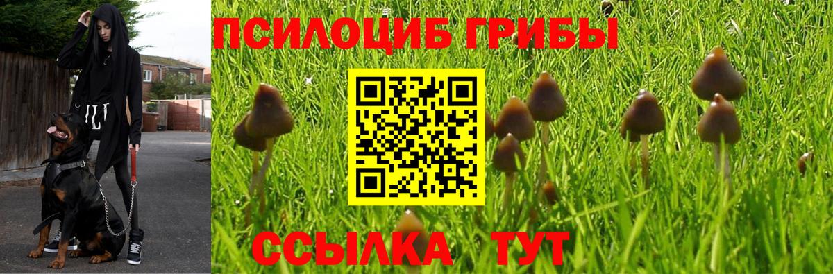 Псилоцибиновые грибы GOLDEN TEACHER  Вход с VPN  где продают   Люберцы 